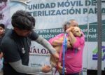 Continúa Campaña de Esterilización en el Ayuntamiento de Culiacán