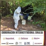 El Grupo Interinstitucional asegura y destruye un área de almacenamiento de materiales químicos