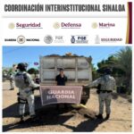 Grupo Interinstitucional asegura en Culiacán a un civil, un tractocamión y dos costales con precursor químico