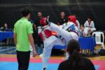 Gran participación en el Torneo Estatal de Taekwondo Todos los Grados 2025