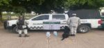 Grupo Interinstitucional asegura marihuana en empresa de paquetería en Culiacán