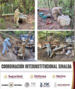 En Culiacán, el Grupo Interinstitucional inhabilita 2 laboratorios clandestinos; 1 de ellos estaba activo