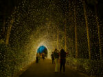 Navidad en el Botánico convertirá el jardín en un espacio de luz, del 30 de noviembre al 11 de enero de 2026