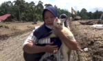 “Embul”: gato indonesio que conmovió al mundo tras ser rescatado
