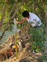 Alista Ecología Municipal 12va jornada de “Cuidemos los Manglares”