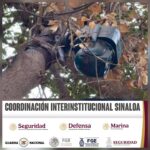 En Navolato, el Grupo Interinstitucional localiza y asegura cámaras con celda solar instaladas en árboles