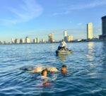 Salvavidas de Mazatlán atienden reporte de animal marino sin vida