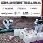 El Grupo Interinstitucional aseguró siete áreas de almacenamiento de precursores químicos y un laboratorio inactivo en Culiacán y Cosalá