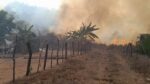 Activa Protección Civil protocolo preventivo de incendios forestales
