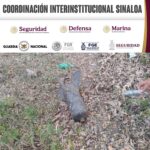 En Escuinapa, personal especializado del Grupo Interinstitucional destruyó un artefacto explosivo