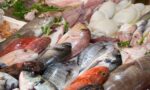 COEPRISS lleva 150 inspecciones en establecimientos de pescados y mariscos previo a Semana Santa