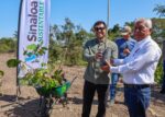 Eldorado reverdece: SEBIDES impulsa gran jornada de arborización con participación ciudadana