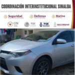 El Grupo Interinstitucional localiza, asegura y destruye dos sembradíos y un secadero de marihuana en Badiraguato y Elota