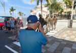 Cruceros fortalecen la actividad turística de Mazatlán durante la Semana Santa