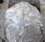 FGR aporta datos de prueba y vinculación a proceso en contra de dos personas por la probable comisión de delito por la salud FGR aporta datos de prueba y vinculación a proceso en contra de dos personas por la probable comisión de delito por la salud