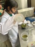 CECyTE Sinaloa representará a México en la Feria Internacional de Ciencia ATARFE 2026 CECyTE Sinaloa representará a México en la Feria Internacional de Ciencia ATARFE 2026