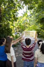Celebrará el Jardín Botánico Culiacán el Día del Niño con cine, talleres creativos y jornada lúdica en el Parque Ecológico Celebrará el Jardín Botánico Culiacán el Día del Niño con cine, talleres creativos y jornada lúdica en el Parque Ecológico
