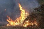 Suman mil 129 hectáreas afectadas por incendios forestales en Sinaloa: SEBIDES Suman mil 129 hectáreas afectadas por incendios forestales en Sinaloa: SEBIDES