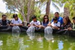 Impulsan formación acuícola con entrega de 3 mil alevines en el CETMAR 28 de Altata Impulsan formación acuícola con entrega de 3 mil alevines en el CETMAR 28 de Altata