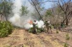 El Grupo Interinstitucional asegura armas largas, municiones, equipo táctico y un vehículo con blindaje artesanal en Cosalá; además, destruye plantíos de marihuana El Grupo Interinstitucional asegura armas largas, municiones, equipo táctico y un vehículo con blindaje artesanal en Cosalá; además, destruye plantíos de marihuana