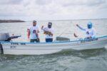 Guasave, Navolato y Mazatlán serán sede de torneos de pesca deportiva en mayo Guasave, Navolato y Mazatlán serán sede de torneos de pesca deportiva en mayo