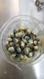 Investigadora desarrolla pasta de maíz azul y amaranto, alternativa alimenticia para combatir enfermedades crónicas Investigadora desarrolla pasta de maíz azul y amaranto, alternativa alimenticia para combatir enfermedades crónicas