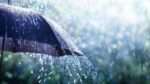 Se prevén lluvias la tarde de este viernes Se prevén lluvias la tarde de este viernes