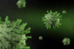 Riesgo sanitario por hantavirus es bajo: OMS Riesgo sanitario por hantavirus es bajo: OMS