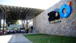 CurZoo del Zoológico de Culiacán, una oportunidad para que niñas y niños conozcan el funcionamiento de este espacio durante el verano CurZoo del Zoológico de Culiacán, una oportunidad para que niñas y niños conozcan el funcionamiento de este espacio durante el verano