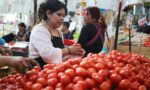 Precio de jitomate baja 41.4%: Profeco Precio de jitomate baja 41.4%: Profeco