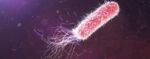 Estudio evalúa la efectividad de nuevos antibióticos frente a bacterias resistentes a antibióticos Estudio evalúa la efectividad de nuevos antibióticos frente a bacterias resistentes a antibióticos