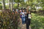 Llevarán educación ambiental a miles de estudiantes de COBAES mediante el Viaje Botánico Llevarán educación ambiental a miles de estudiantes de COBAES mediante el Viaje Botánico