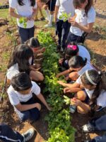 Huertos Escolares: Aulas abiertas a la vida en nuestros planteles educativos Huertos Escolares: Aulas abiertas a la vida en nuestros planteles educativos