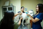 Facultad de Medicina Veterinaria y Zootecnia ofrece servicios profesionales y de diagnóstico con alto impacto social Facultad de Medicina Veterinaria y Zootecnia ofrece servicios profesionales y de diagnóstico con alto impacto social