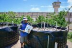 Personas Privadas de la Libertad siembran alevines de tilapia en el Centro Penitenciario El Castillo, en Mazatlán, y con ello cultivan la esperanza de un futuro digno Personas Privadas de la Libertad siembran alevines de tilapia en el Centro Penitenciario El Castillo, en Mazatlán, y con ello cultivan la esperanza de un futuro digno