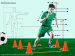 Cuerpo de futbolista ¿el éxito depende de la antropometría? Cuerpo de futbolista ¿el éxito depende de la antropometría?