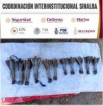Grupo Interinstitucional destruye 11 artefactos explosivos en Mazatlán Grupo Interinstitucional destruye 11 artefactos explosivos en Mazatlán