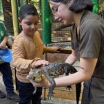 Zoológico de Culiacán estará abierto durante todo el mes de julio y agosto Zoológico de Culiacán estará abierto durante todo el mes de julio y agosto