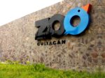 En el Zoológico de Culiacán también se toman medidas para cuidar a los animales del calor En el Zoológico de Culiacán también se toman medidas para cuidar a los animales del calor