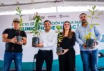 Más de 80 mil árboles se han plantado en Sinaloa mediante las jornadas de arborización que impulsa SEBIDES Más de 80 mil árboles se han plantado en Sinaloa mediante las jornadas de arborización que impulsa SEBIDES
