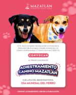 Invita Gobierno de Mazatlán al Primer Concurso de Adiestramiento Canino “Huellitas del Bienestar” Invita Gobierno de Mazatlán al Primer Concurso de Adiestramiento Canino “Huellitas del Bienestar”
