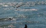 Elementos salvavidas realizan rescate múltiple en Playa Gaviotas 2 Elementos salvavidas realizan rescate múltiple en Playa Gaviotas 2
