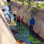 Gobierno de Mazatlán continúa con la limpieza de canales y desazolve de infraestructura pluvial en distintos sectores de la ciudad Gobierno de Mazatlán continúa con la limpieza de canales y desazolve de infraestructura pluvial en distintos sectores de la ciudad