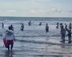 Salvavidas de la SSPM intervienen en siete reportes y ponen a salvo a 17 bañistas Salvavidas de la SSPM intervienen en siete reportes y ponen a salvo a 17 bañistas