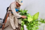 La prevención del dengue empieza en casa: Secretaría de Salud llama a la participación ciudadana La prevención del dengue empieza en casa: Secretaría de Salud llama a la participación ciudadana