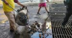 Mantiene Ayuntamiento limpieza de infraestructura pluvial tras las recientes lluvias Mantiene Ayuntamiento limpieza de infraestructura pluvial tras las recientes lluvias