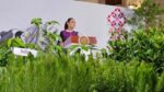 Sembrarán más de 6 millones de árboles y plantas en la Jornada Nacional de Reforestación 2026 Sembrarán más de 6 millones de árboles y plantas en la Jornada Nacional de Reforestación 2026