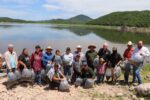 Gobierno de Sinaloa siembra 1.5 millones de alevines de tilapia en la Presa El Sabinal Gobierno de Sinaloa siembra 1.5 millones de alevines de tilapia en la Presa El Sabinal