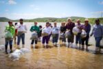 Fortalece Gobierno de Sinaloa la pesca continental con la siembra de 800 mil alevines en la presa Eustaquio Buelna Fortalece Gobierno de Sinaloa la pesca continental con la siembra de 800 mil alevines en la presa Eustaquio Buelna
