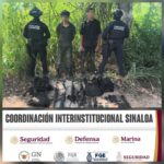 Grupo Interinstitucional detiene a tres personas y asegura armas, municiones y equipo táctico en Escuinapa Grupo Interinstitucional detiene a tres personas y asegura armas, municiones y equipo táctico en Escuinapa